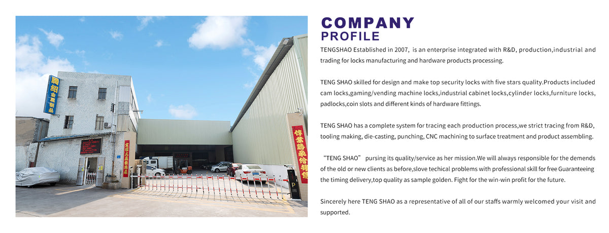 tengshaolock.com